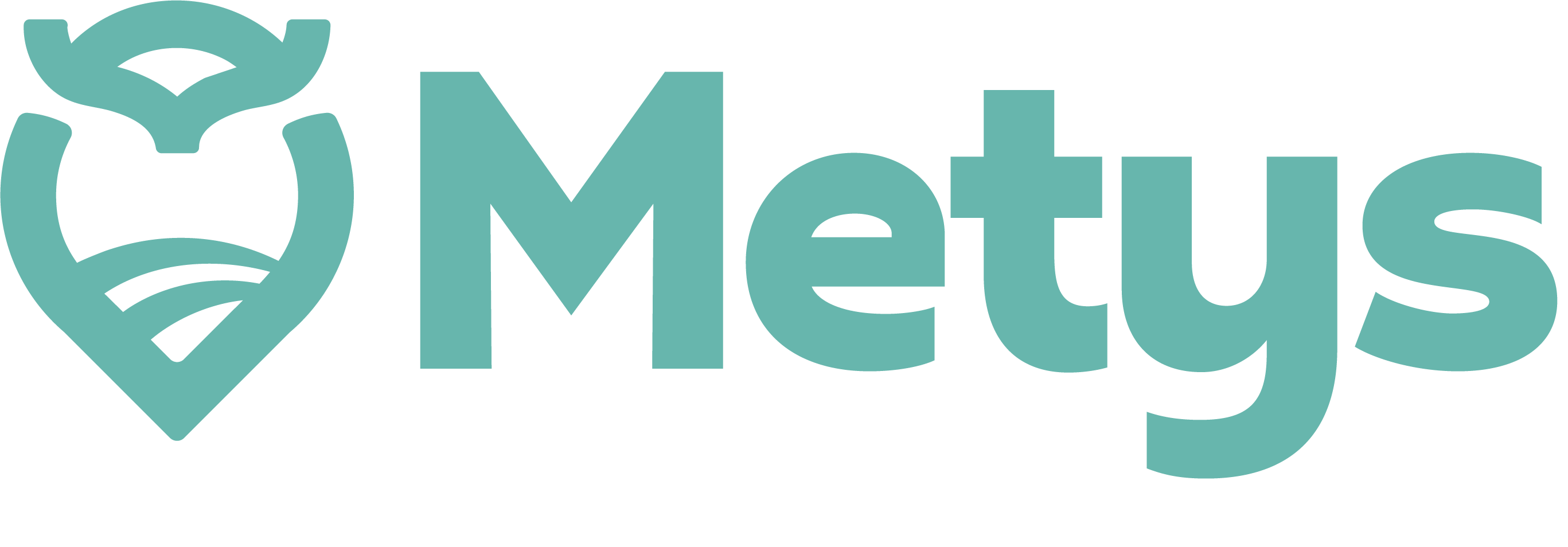 Metys
